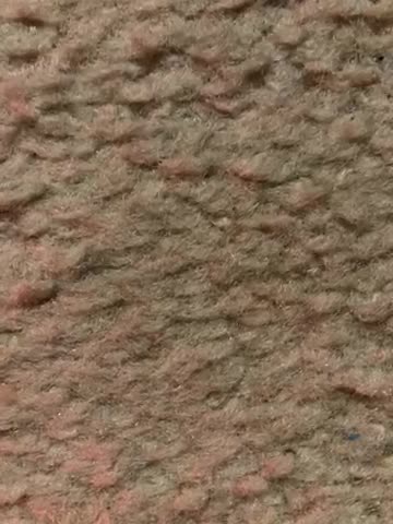 Vatican Christmas Mass