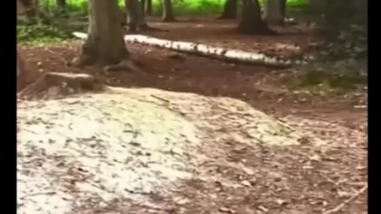 A school in England introduced a bold experiment, a 21-day total phone ban for its students