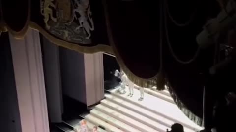 British actor raises the Palestinian flag inside the "Royal Opera House" in London