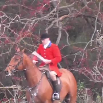 This is Richard Smith of the South Durham Hunt he hit a horse, make him infamous