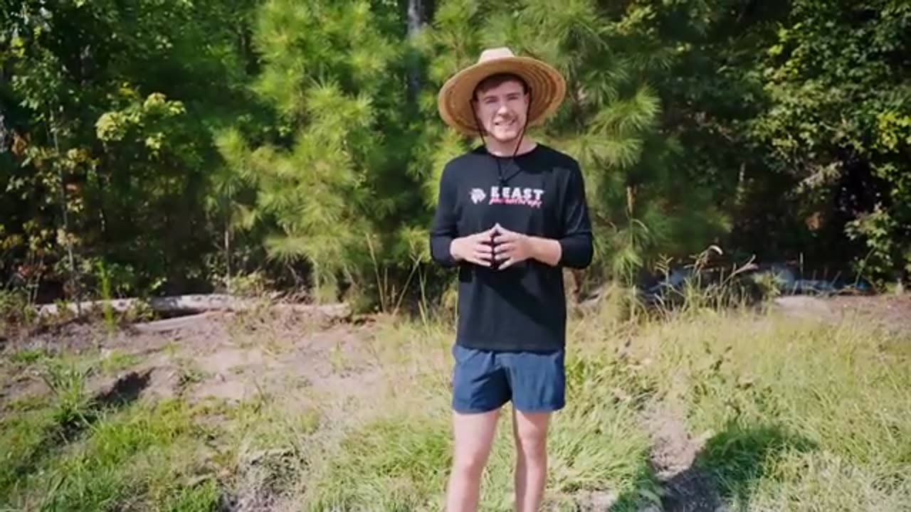 Fight mr breast and cheetah 🐆😺😀....