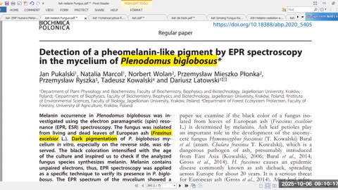 Rothschild BlackRock WEF Power...