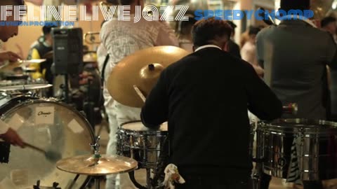 Feline Live Jazz