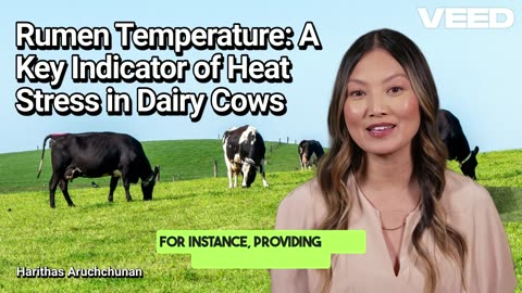 Rumen Temperature:A Key Indicator of Heat Stress in Dairy Cows