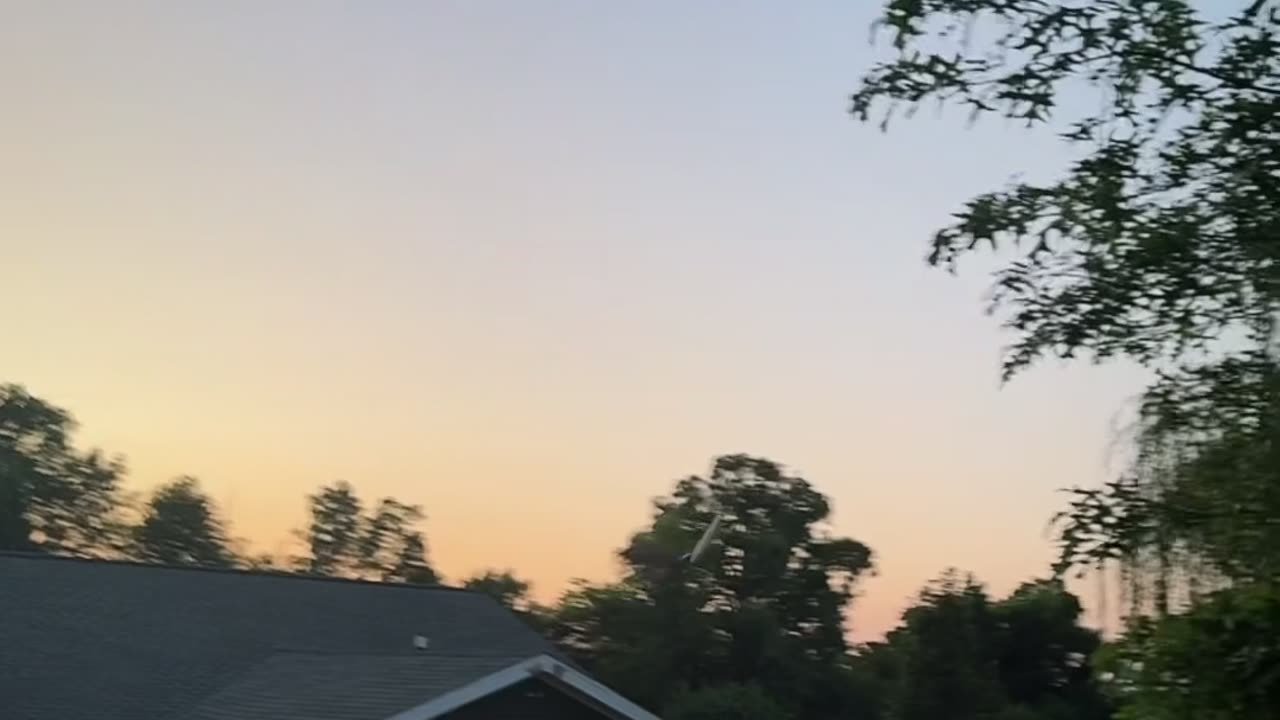 Remote Control Dragon Flies Into Sunset