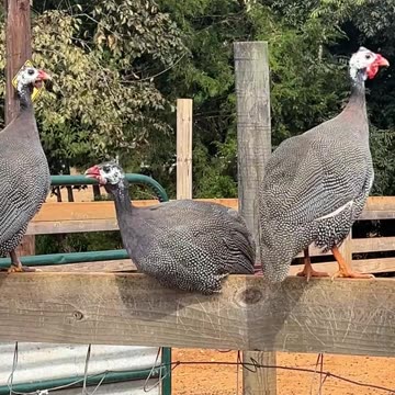 No Bugs up here. Lets go find some bugs!!