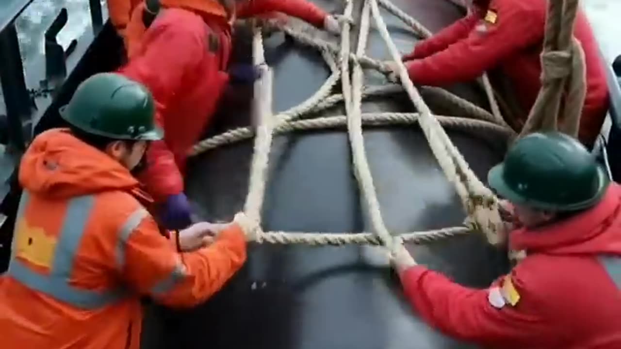 🐳🐋🐬🐟🐳🐋🐬🐟