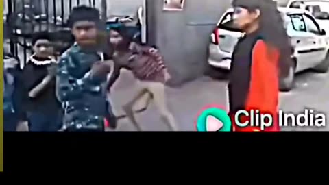 Wait till end 😂🔚