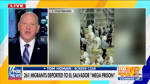 Tom Homan slammed critics of Trump’s crackdown on TDA