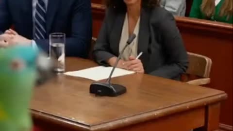 Parrot Lawyer Roasts His Own Client in Court 😂🦜⚖️ #papagoiecho #talkingparot #parrot #funny #birds