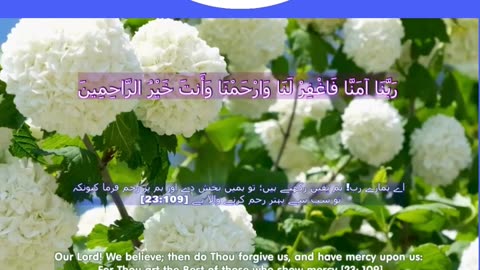 40 Rabbana Duas (Dua no 30)