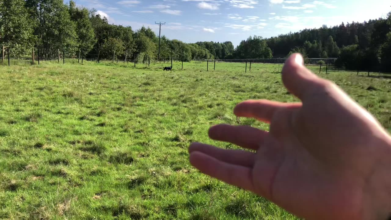 First liberty caps of 2023! 🤯