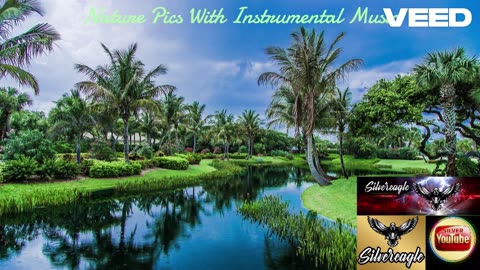 Nature Pics With Instrumental Music