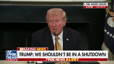 President Trump: "We will have, by the end of my first year, more than $20 TRILLION of investments