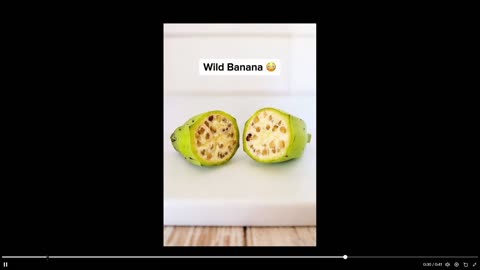 This will bug you out. What fruits looked like before humans altered them