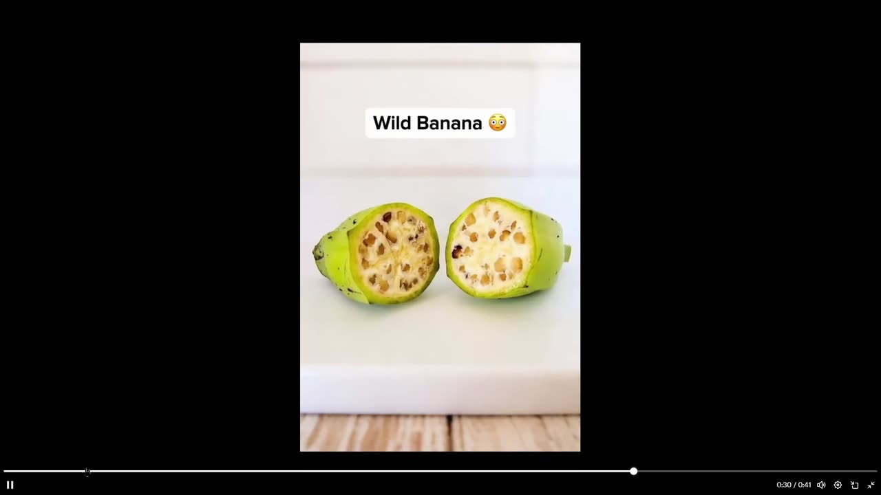 This will bug you out. What fruits looked like before humans altered them