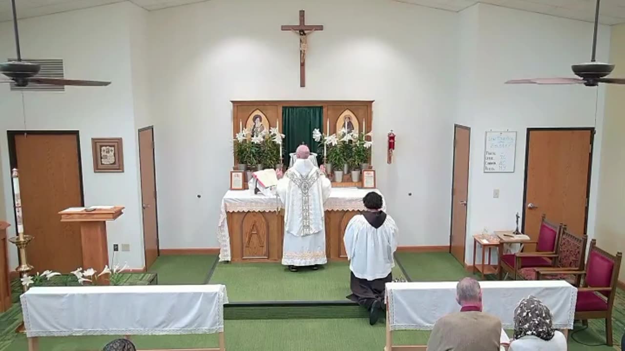 Low Sunday - Holy Mass 04.27.25