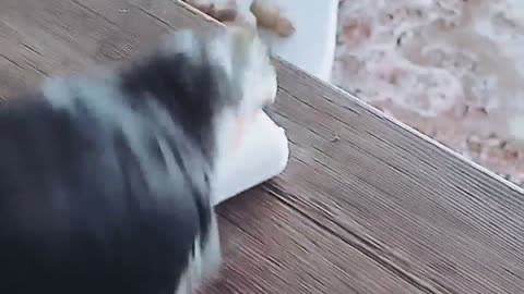 Don't forget to floss after meals.