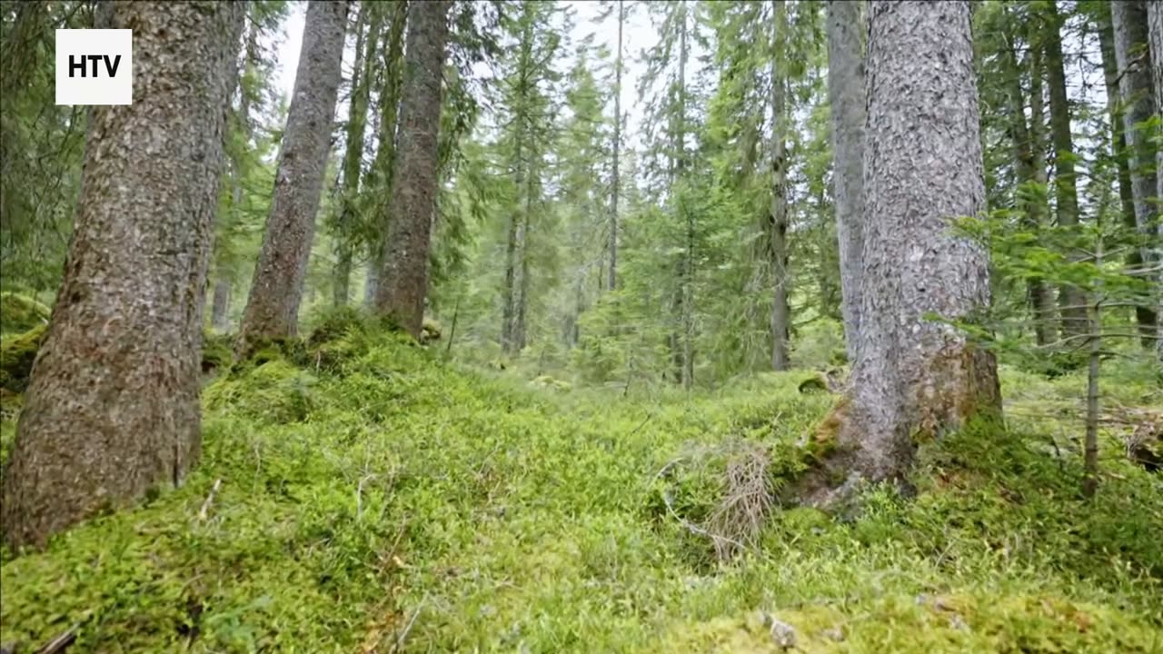 The Untouched World: Hidden Escapes