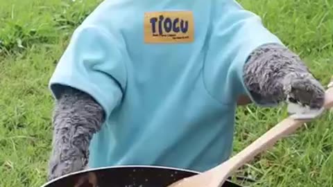 Dare To Try This Crazy Egg And Ham Trick funnycat catmemes trending