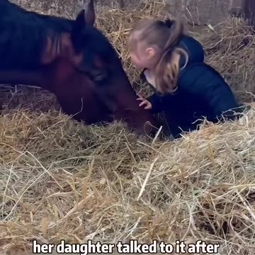 An abandoned horse bravely chases love and dreams.#shorts #animals #horse #rescue #love