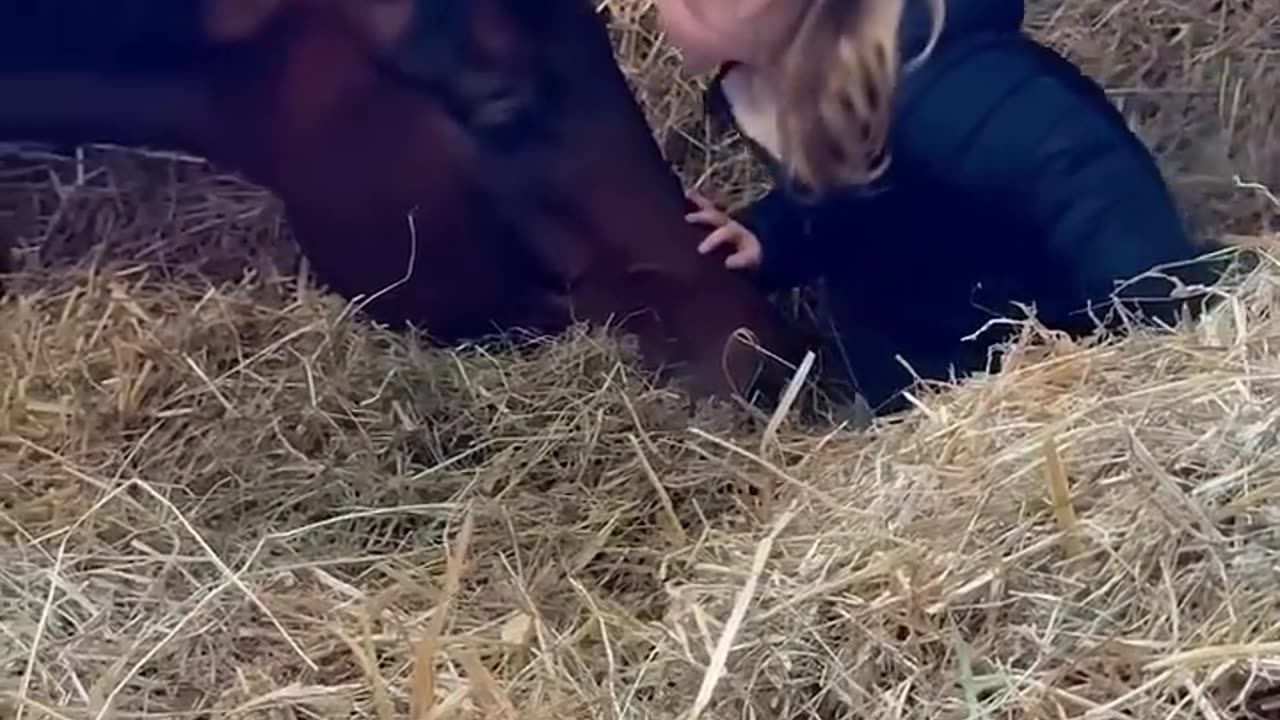 An abandoned horse bravely chases love and dreams.#shorts #animals #horse #rescue #love