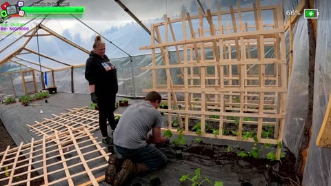 Day 346 Family Builds FARMSTEAD Dream Journey to Freedom in REMOTE ALASKAN Village | !Real