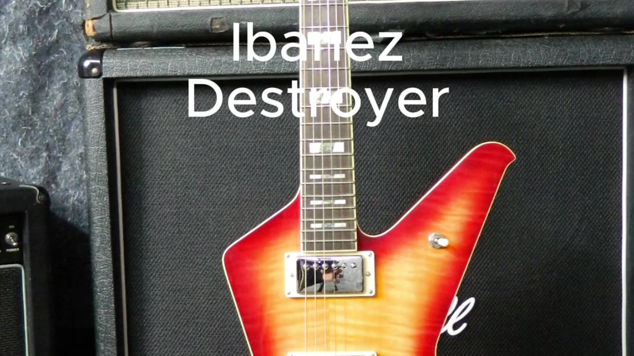 Hagstrom Ibanez Washburn guitars