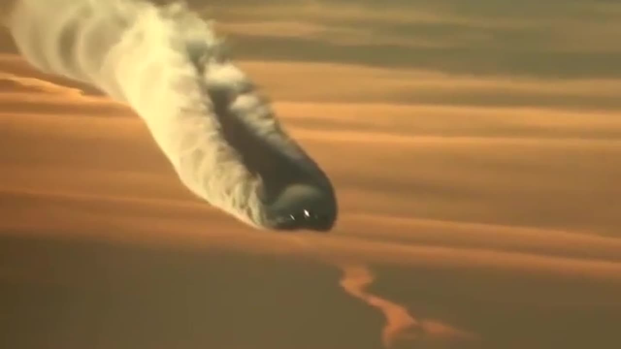 This is what Chemtrails are doing to us...
