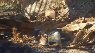 Shipping Container Full of Russian Squad's Gear is Destroyed Moments After Arriving