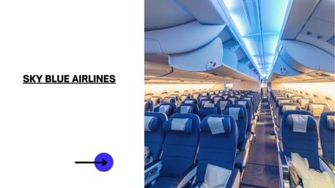 Redefining the Blue Airline