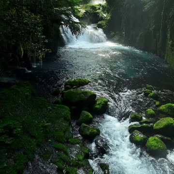 Beautiful water Waves and Trees 🌳