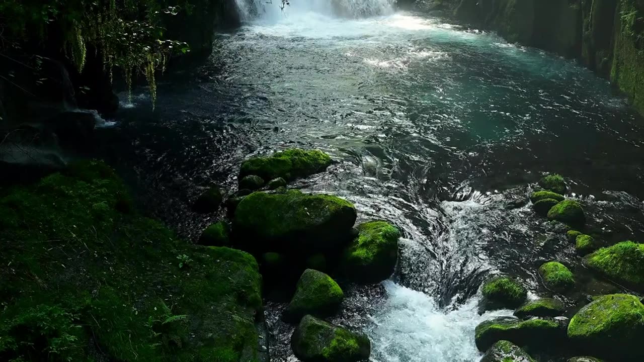Beautiful water Waves and Trees 🌳