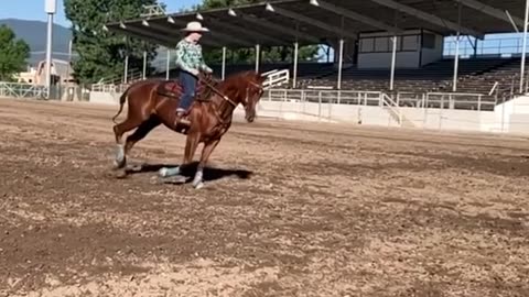 Barrel Racing