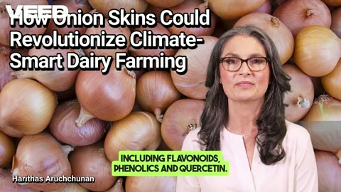Onion Peels:A Climate Smart Dairy Farming Revolution