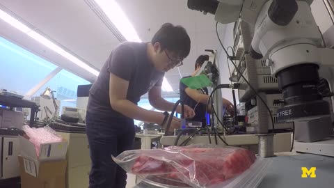 2016 Injectable Computers Michigan Engineering With a radio specifically designed to communicate through tissue, Professors David Blaauw
			