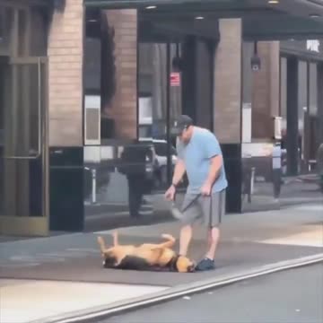 “Come on, you’re embarrassing me” 😂