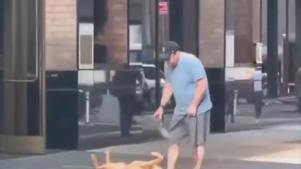 “Come on, you’re embarrassing me” 😂