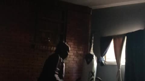 Punching bag