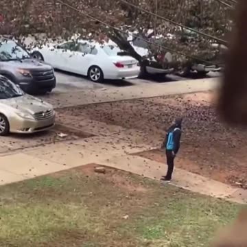 Gang robs amazon trucks