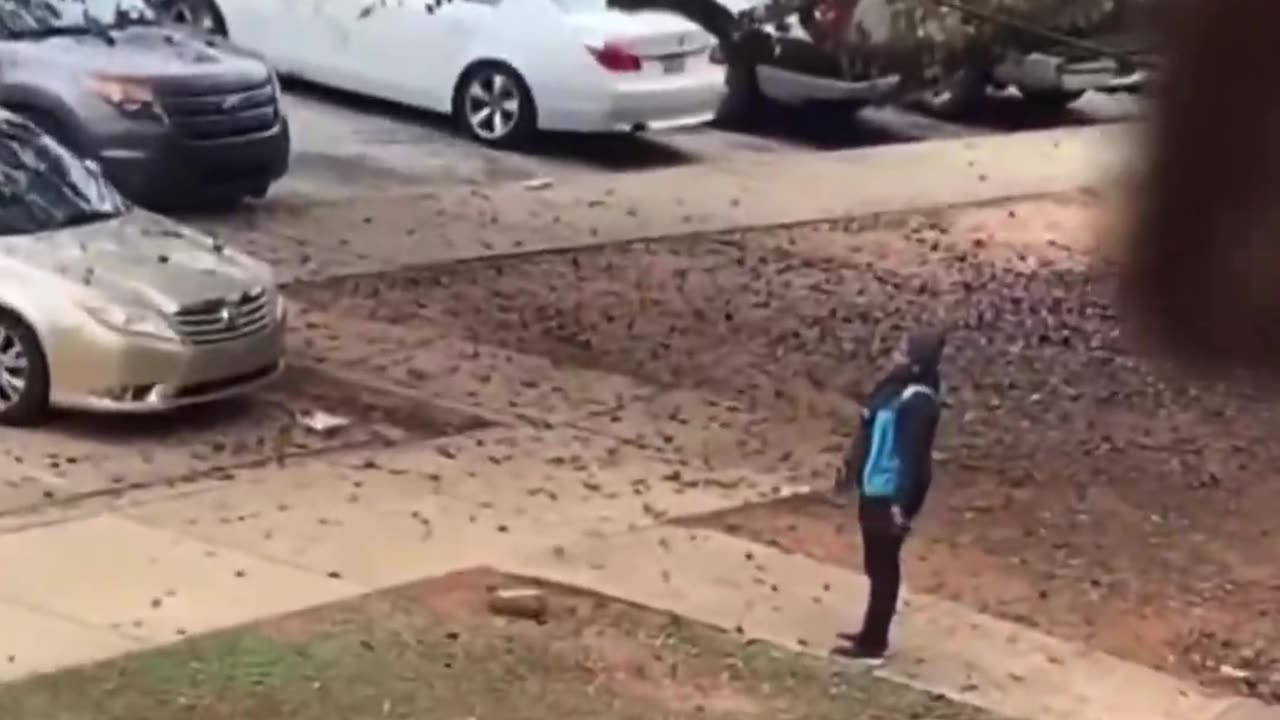 Gang robs amazon trucks