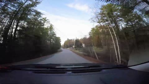 Deer Crossing