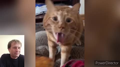 Hilarious Cats Reaction On Sniffing Things