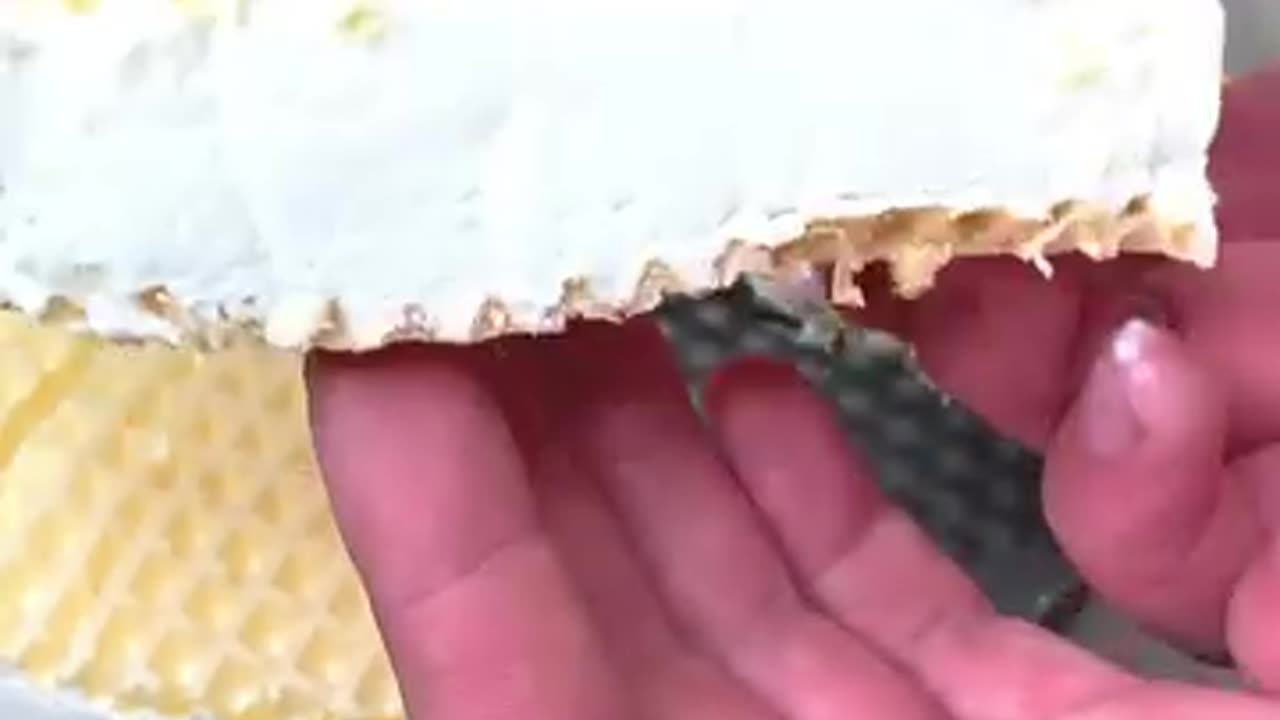 Ice cream recipe from childhood