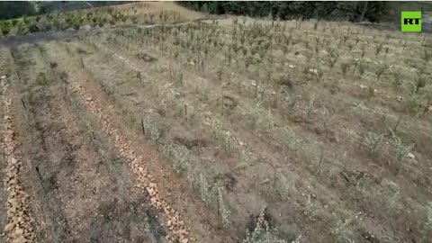 France continues to battle its worst wildfire in nearly 80 years