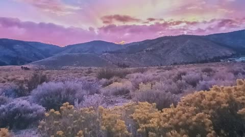 110225 THE MIDNIGHT CRY: READY YOURSELVES - WILLIAM BROOKS