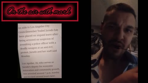 LA city council aide arrested on suspicion of assaulting a police officer