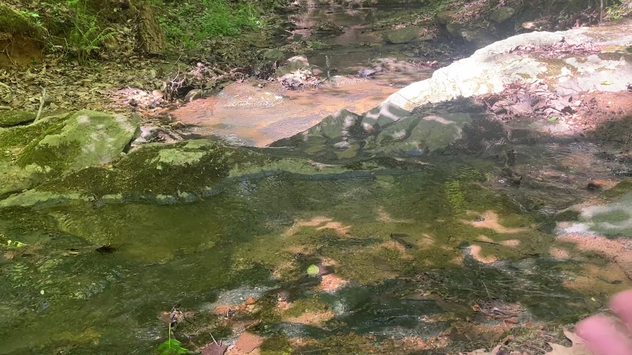 Slow gentle water movement, rolling streams, prove many things to be so