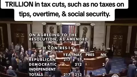 Democrats voted no