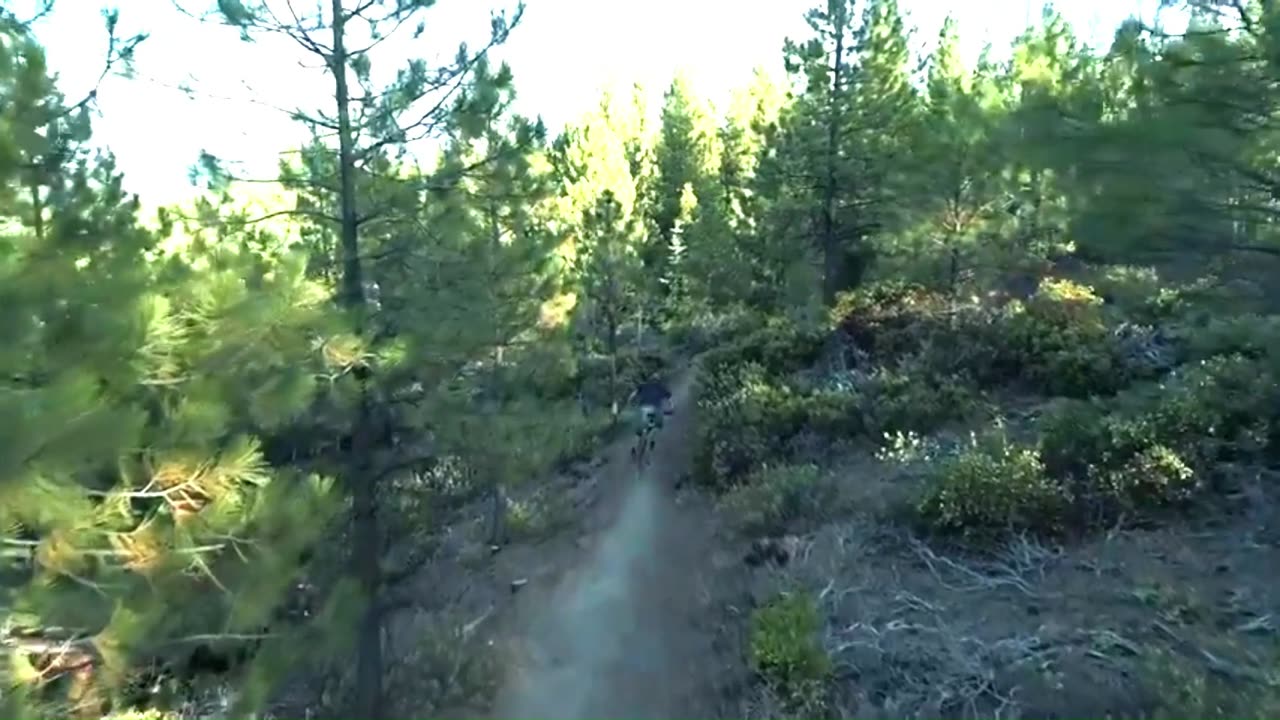 Best Music Video 2025